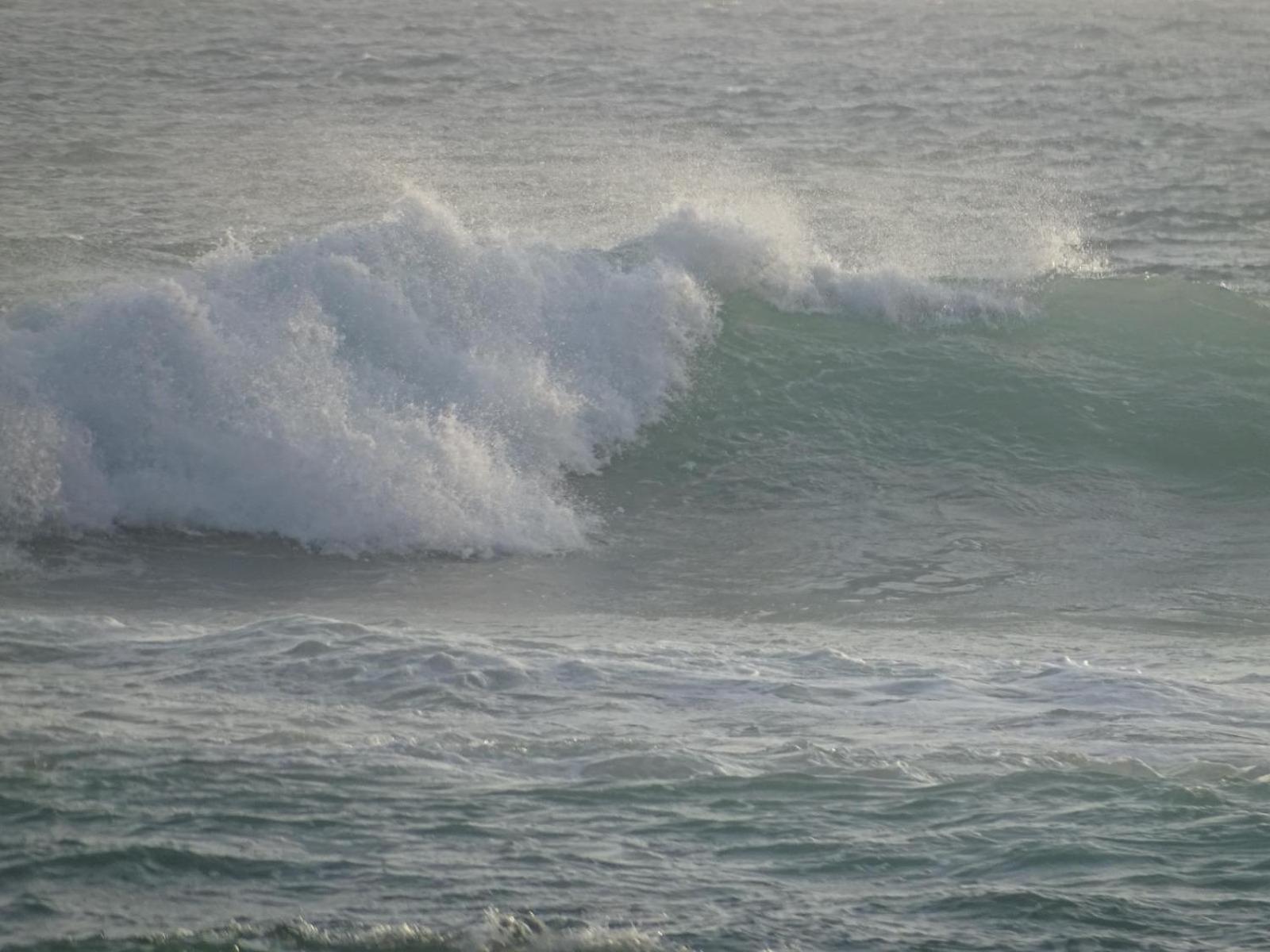 Shehara Sun Surf Lodge Midigama East Exteriör bild